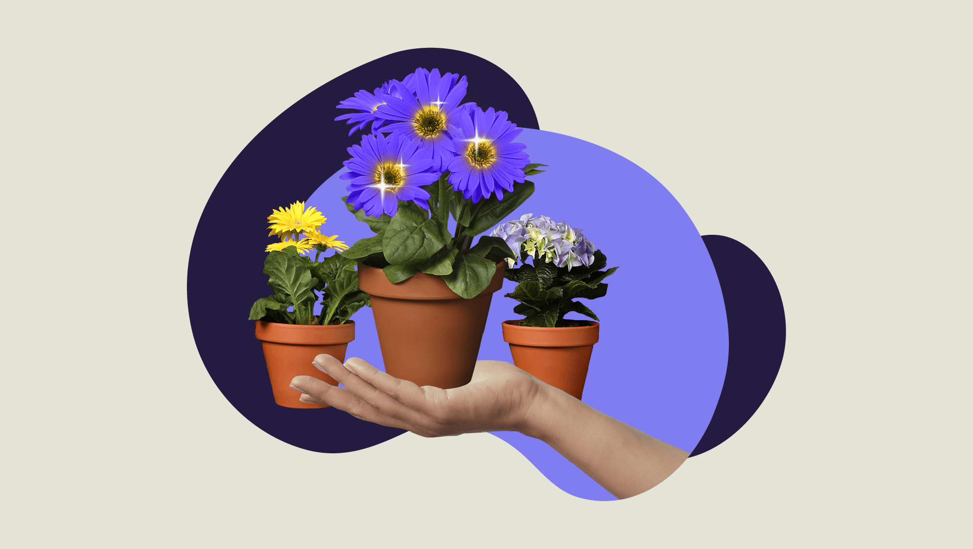 Asiakaslähtöinen viestintä asiantuntijaorganisaatiossa - blogikuva